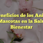 Los Beneficios de los Animales de Mascotas en la Salud y Bienestar