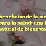 Los beneficios de la ciruela pasa para la salud: una fuente natural de bienestar