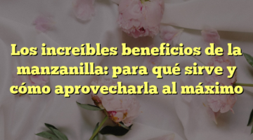 Los increíbles beneficios de la manzanilla: para qué sirve y cómo aprovecharla al máximo