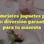 Los mejores juguetes para perros: diversión garantizada para tu mascota
