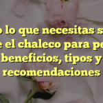 Todo lo que necesitas saber sobre el chaleco para perros: beneficios, tipos y recomendaciones