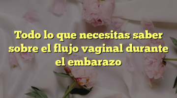 Todo lo que necesitas saber sobre el flujo vaginal durante el embarazo