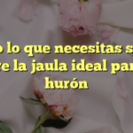 Todo lo que necesitas saber sobre la jaula ideal para tu hurón