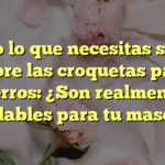 Todo lo que necesitas saber sobre las croquetas para perros: ¿Son realmente saludables para tu mascota?