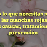 Todo lo que necesitas saber sobre las manchas rojas en la piel: causas, tratamiento y prevención