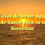 Beneficios de beber agua con zumo de limón para tu salud y bienestar