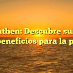 Bepanthen: Descubre sus usos y beneficios para la piel