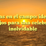 Bodas en el campo: ideas y consejos para una celebración inolvidable