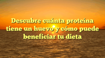 Descubre cuánta proteína tiene un huevo y cómo puede beneficiar tu dieta