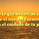 Todo lo que necesitas saber sobre el uso del Furminator para el cuidado de tu perro
