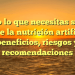 Todo lo que necesitas saber sobre la nutrición artificial: beneficios, riesgos y recomendaciones